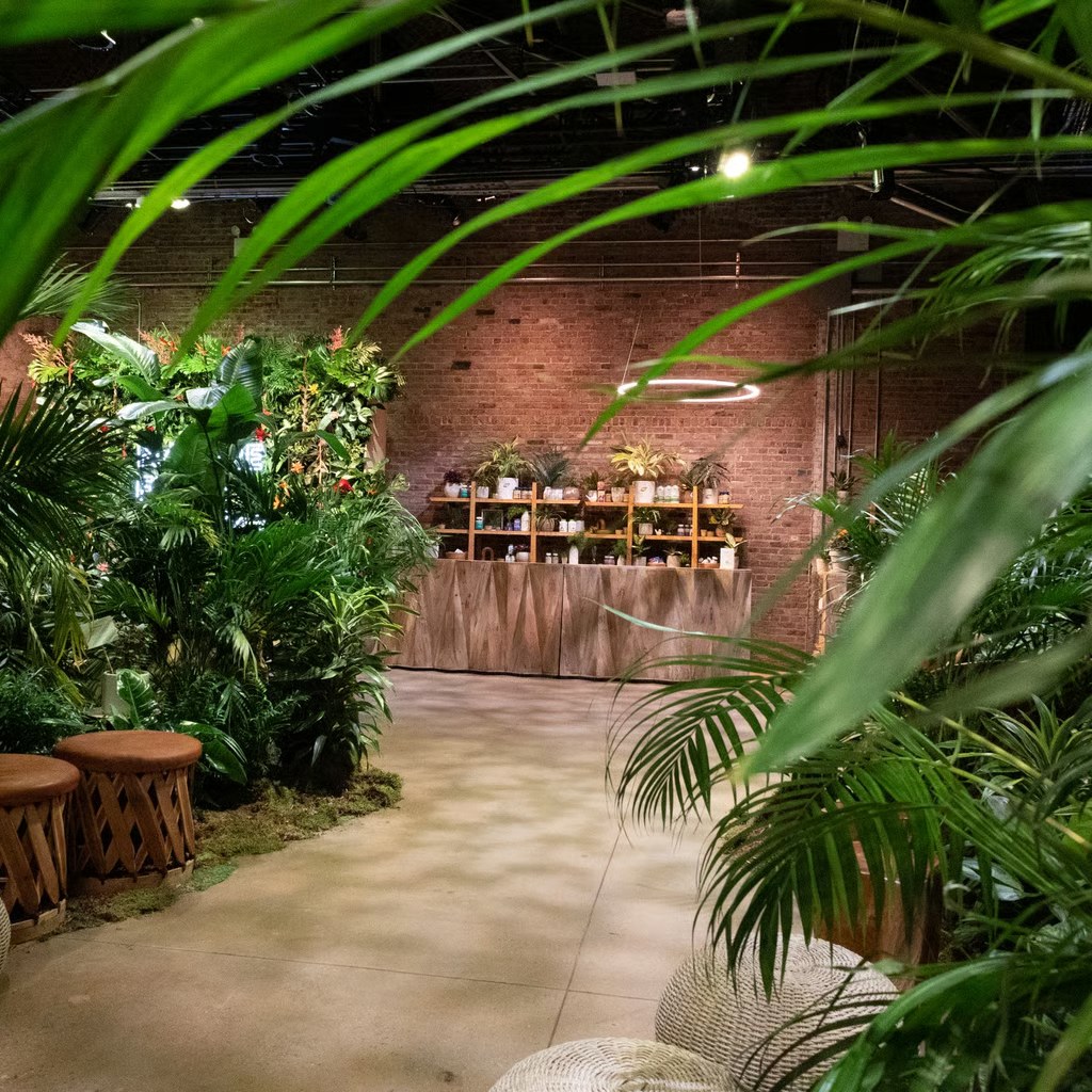 The product shelf through the palms